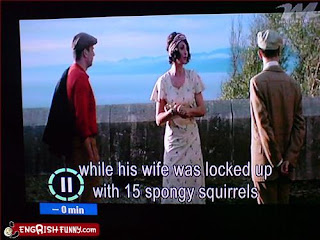 wife locked up with 15 spongy squirrels