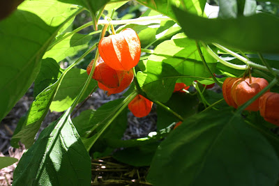 The Iron You Paleo Almond Berry Tartlets