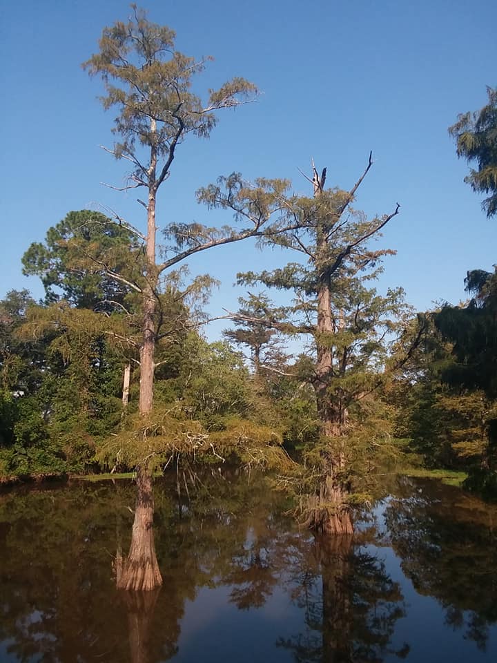 A Traveler's Guide To The Galaxy Saturday Afternoon On Bayou Boeuf, Louisiana