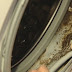These 2 Ingredients Will Remove Dangerous Mold And Unpleasant Odors From Your Washing Machine
