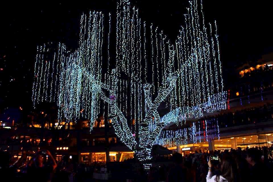 Top 10 Beautiful Christmas Trees Around Cebu Cebu's Face Travel