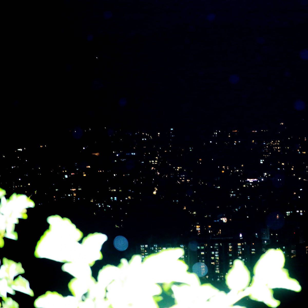 jingwon Lee – Curtain – Single