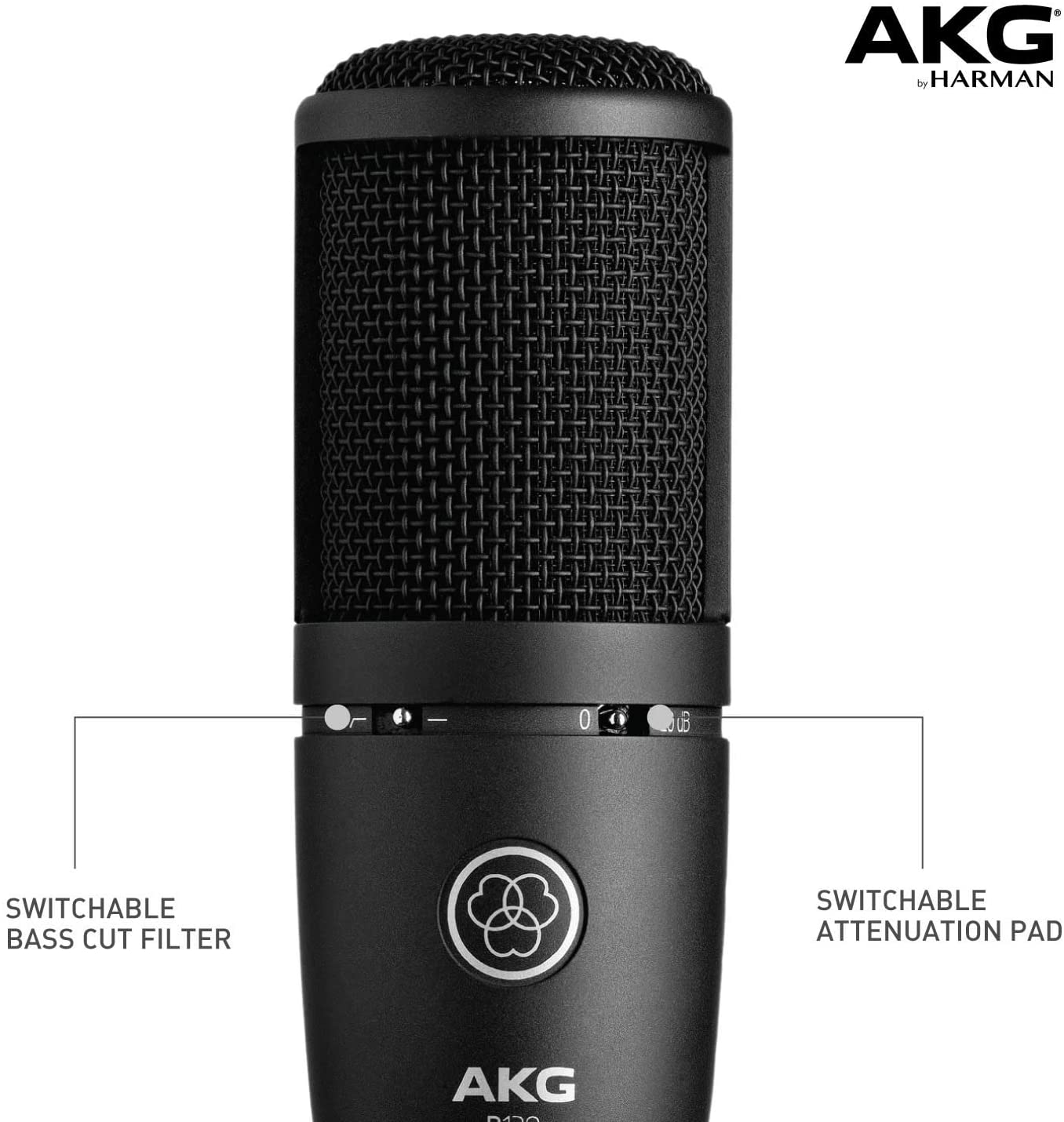 AKG P120 HighPerformance General Purpose Recording Microphone