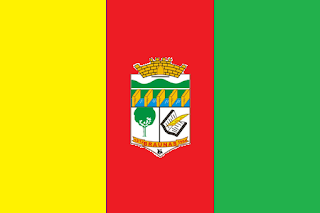 Bandeira de BraÃºna MG