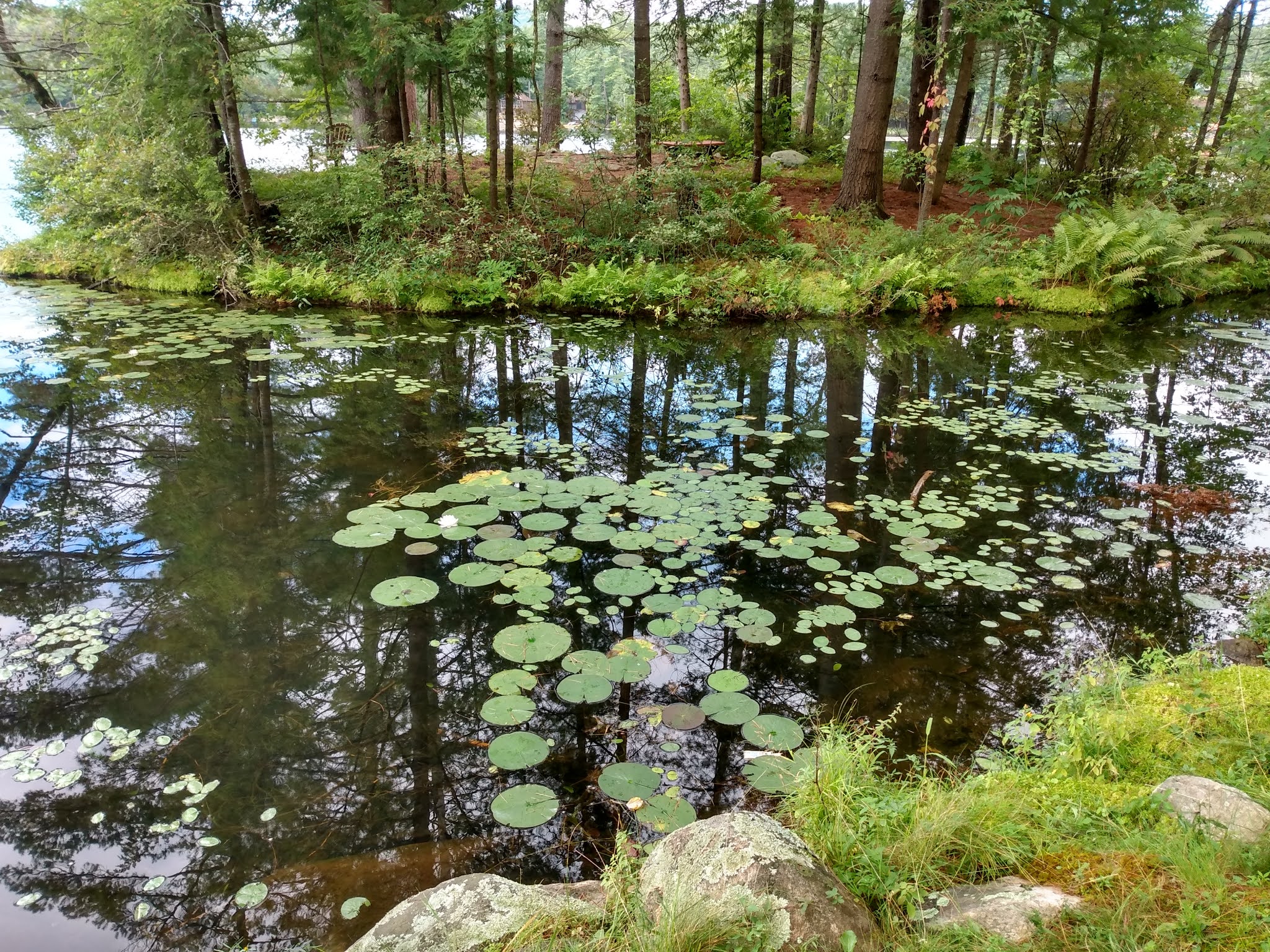 4 P's in a Pod Family Getaway to Lake Luzerne, NY