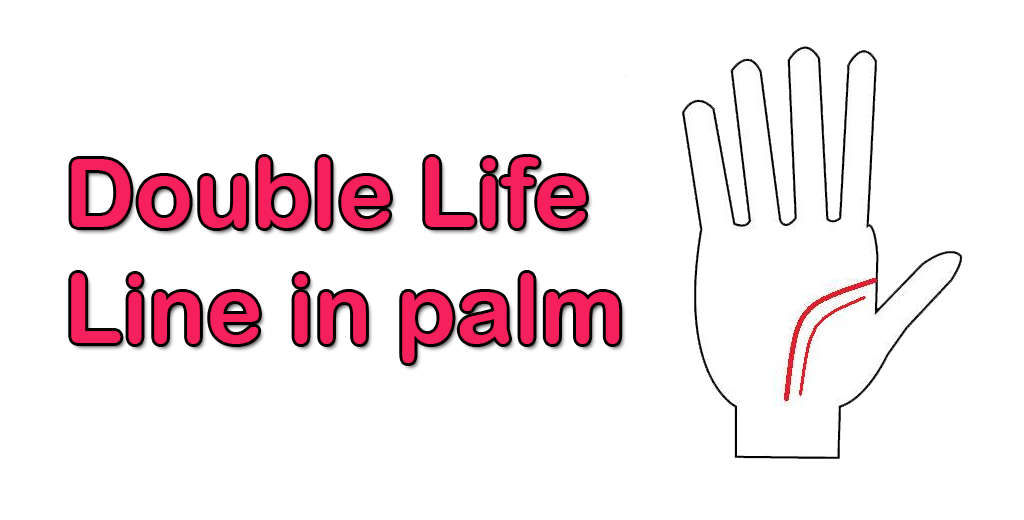 Double Life Line in palm Abhishek Bhatnagar