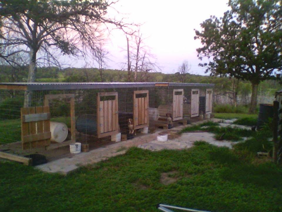 Wilson Bros Beagles Kennels