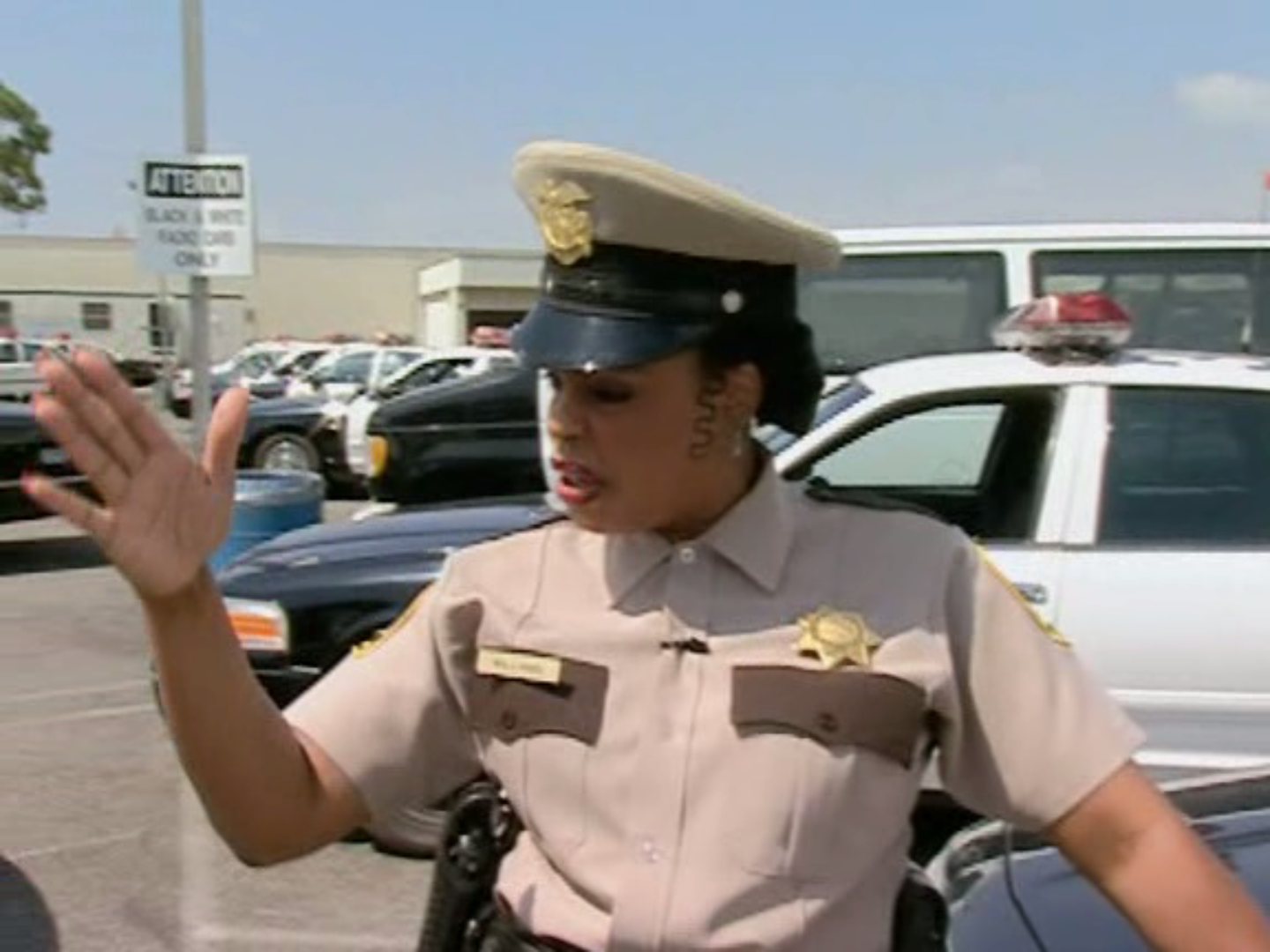 Deputy Raineesha Williams (Niecy Nash) (E101) .