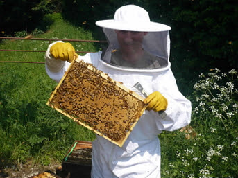 مجلة Sortie للكوارث لبيع النحل بشبكة شفافة منظمة