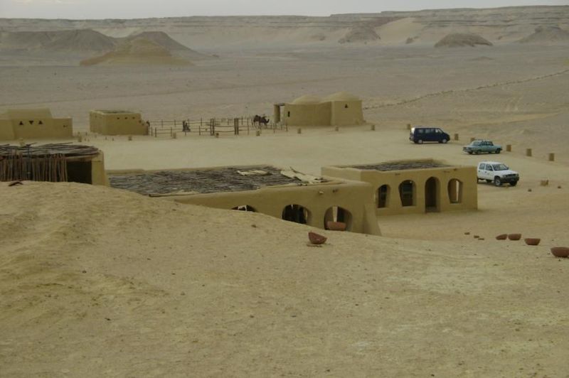 وادي الحيتان - حياة بحرية في قلب الصحراء