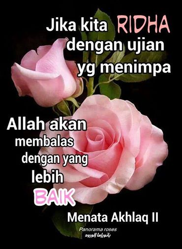 Air Mata Dan Rasa Sakit Hati Merupakan Ujian Dari Nya