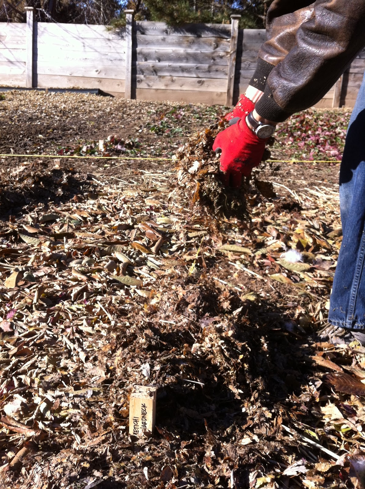 Mulching