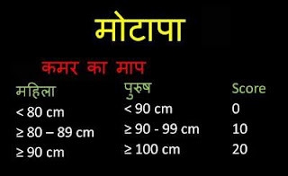 diabetes-formula-in-hindi-obesity
