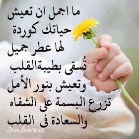 صور فيها اجمل الكلمات المعبرة