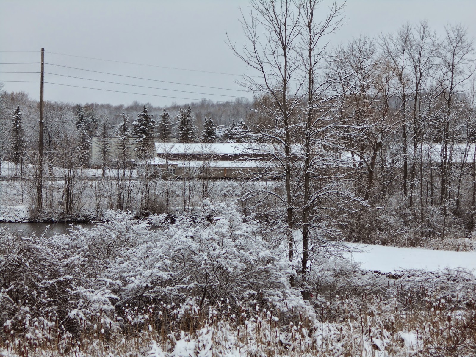 New York State of Mind WINTER ON THE ERIE CANAL