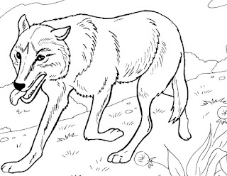 Download Mewarnai Gambar Binatang Belajar Serigala Anak Melata