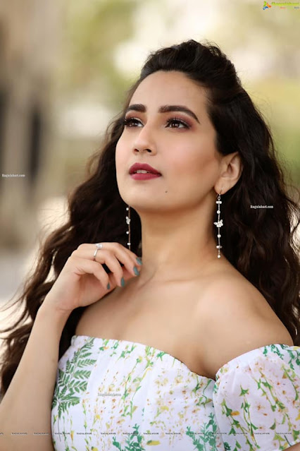 Telugu Anchor Manjusha Latest Sexy Pictures At Wild Dog Movie Success Meet Navel Queens