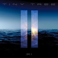 pochette TINY TREE xi 2021