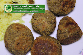 albóndigas sin carne