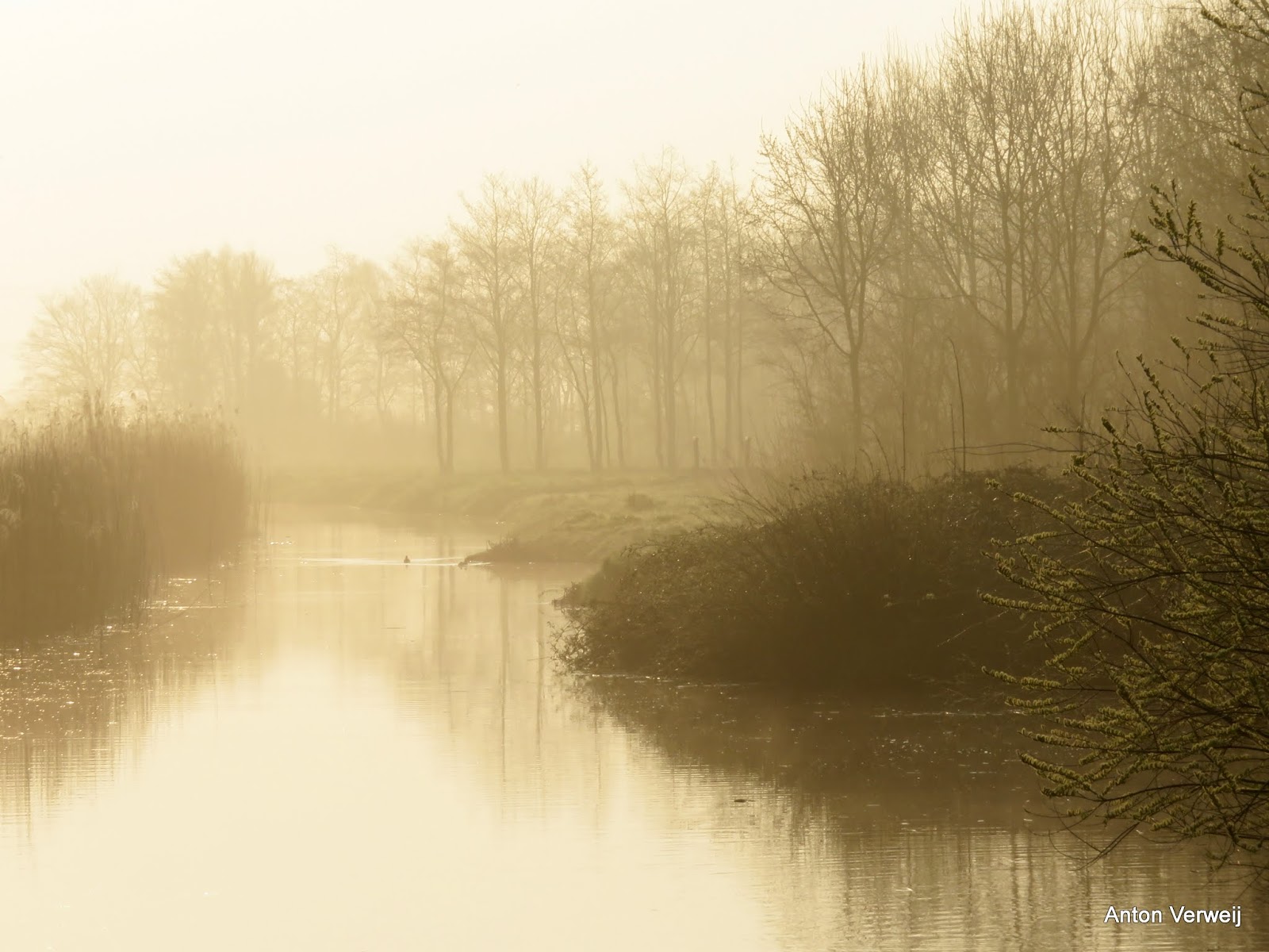 God is in de stilte: Op weg naar het licht