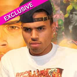Vet Chris Brown Goes Public With Girlfriend Kendall Bora