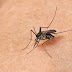 Tips για να μην σε τσιμπούν τα κουνούπια το φετινό καλοκαίρι