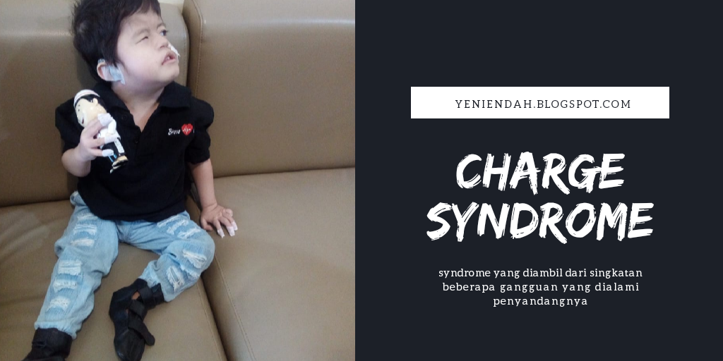 charge syndrome conference 2015 charge syndrome conference 2015