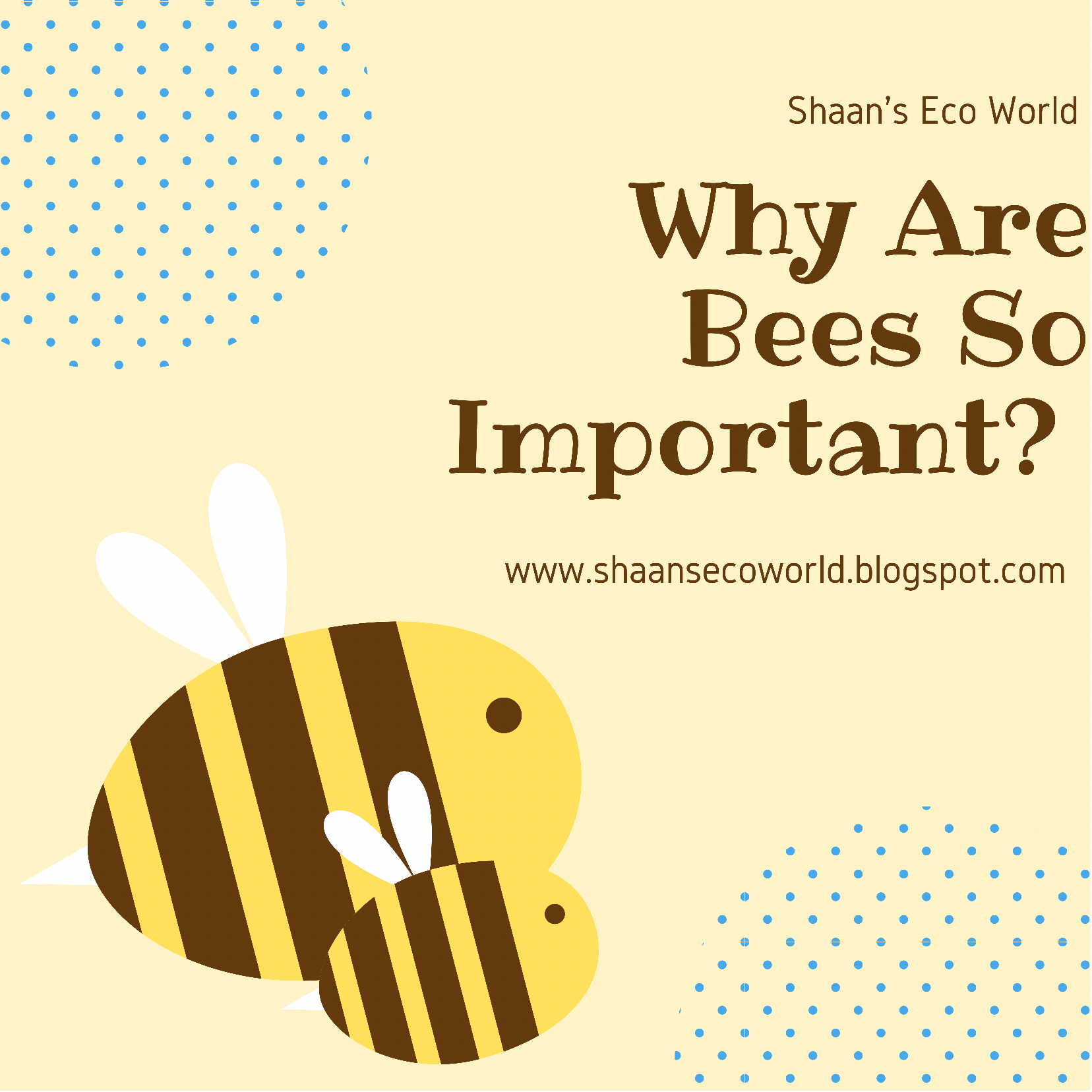 Why Are Bees So Important?