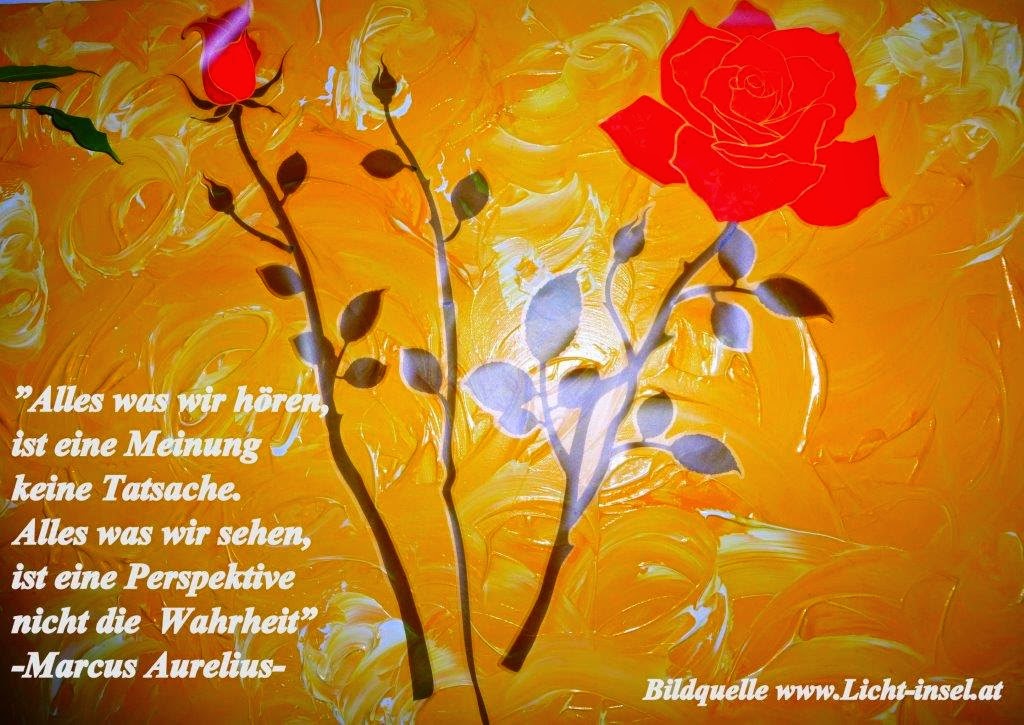 Licht-volle Tages-impulse: Tagesimpuls für Mittwoch den 25.03.2020