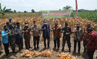 Dukung Ketahanan Pangan, Bupati Rocky Panen 50 Hektar Jagung di Aceh Timur Oktober 8, 2020