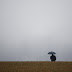 METEOROLOGIA - Chuva, temperaturas abaixo do habitual e possibilidade de neve na Serra da Estrela