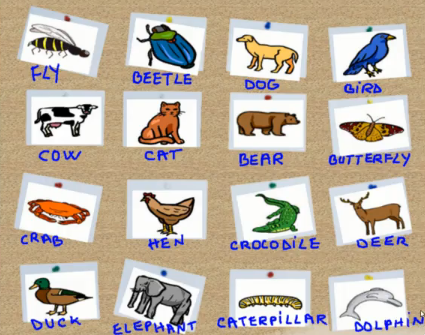 english: animals-animale