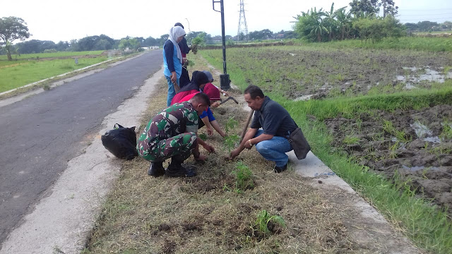 Babinsa, Kepala Desa, Pkk Kompak Tanam Bunga