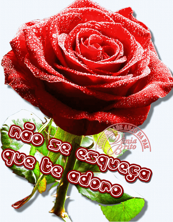 Imágenes De Rosas Con Movimiento