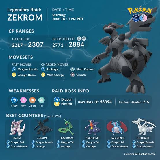 Zekrom CP and IV Chart