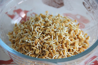 sprout definition sprout definition