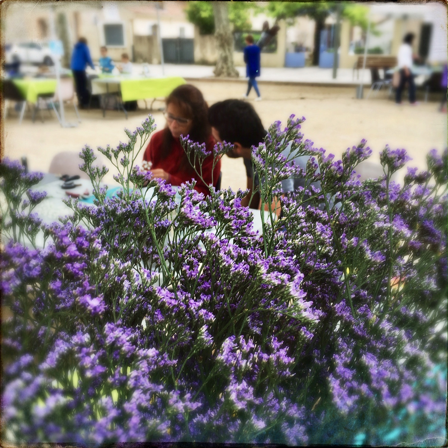 Mimi La Fourmi Attendre La Premiere Fleur De Jasmin