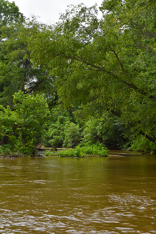 wanderlust ATLANTA Yellow River Park