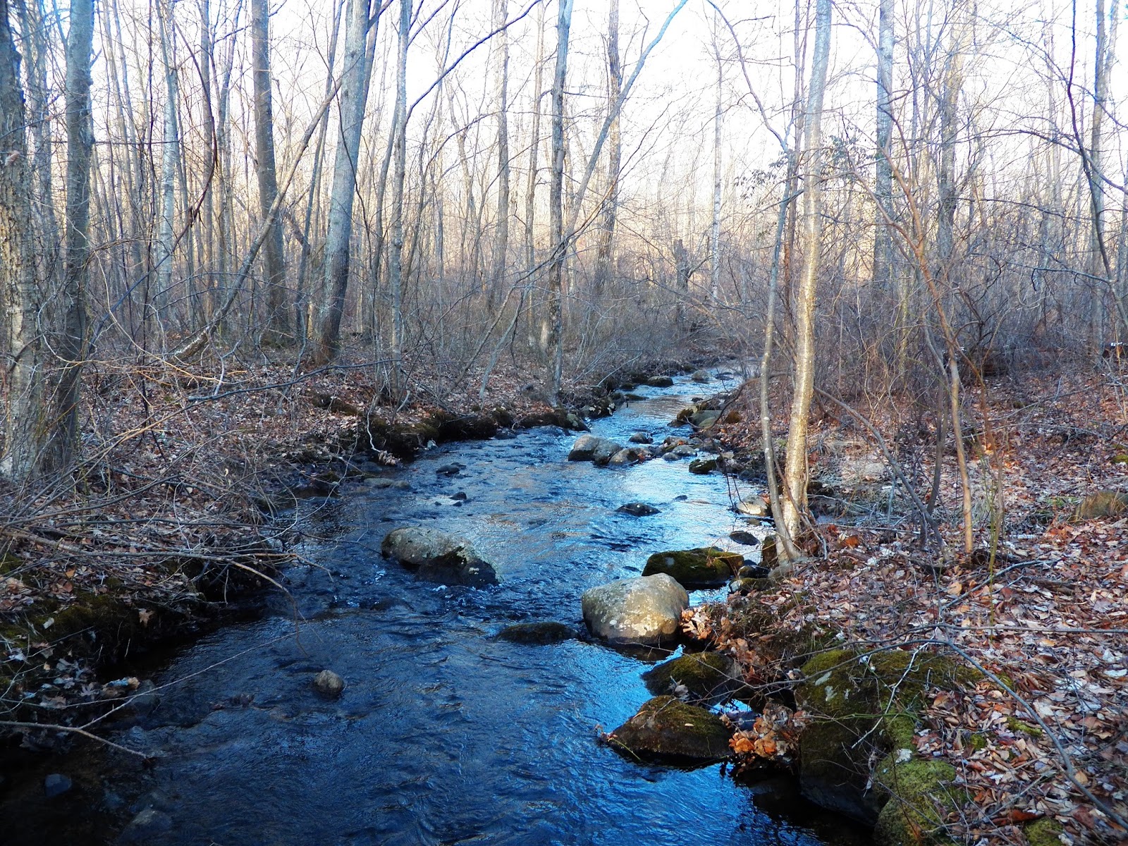 Connecticut Fly Angler Another Amazing New Brook Trout Stream