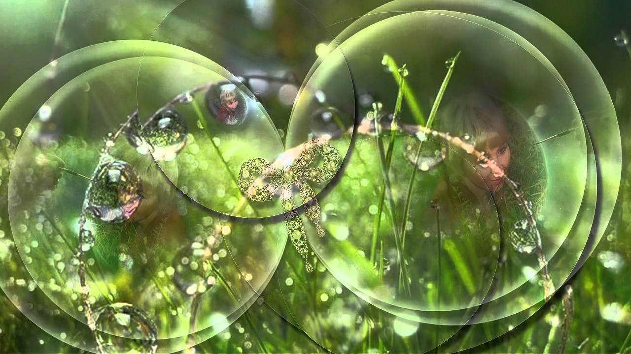 Проект мир в капле воды