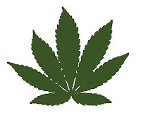 Cannabis índica
