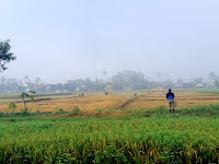 Melintas Blitar Malang - Gondanglegi