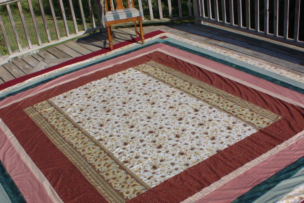 Sarah Lynn's Quilting Thimbleberries Village Quilt Back and Pillow 1