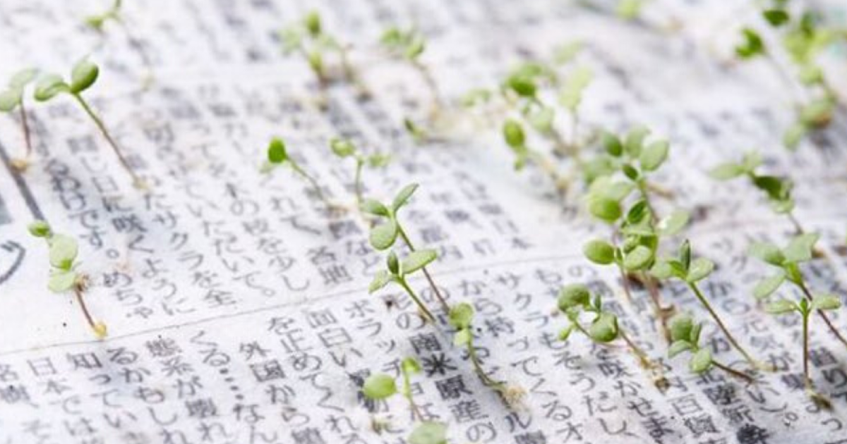 Did You Know? A Japan newspaper have seeds embedded in it, so it can be grown into plants after