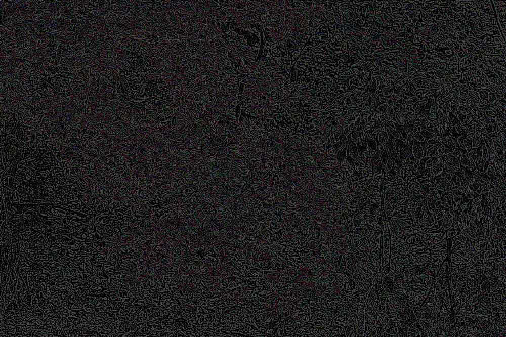 공주 태화산 마곡사 공주 태화산 마곡사