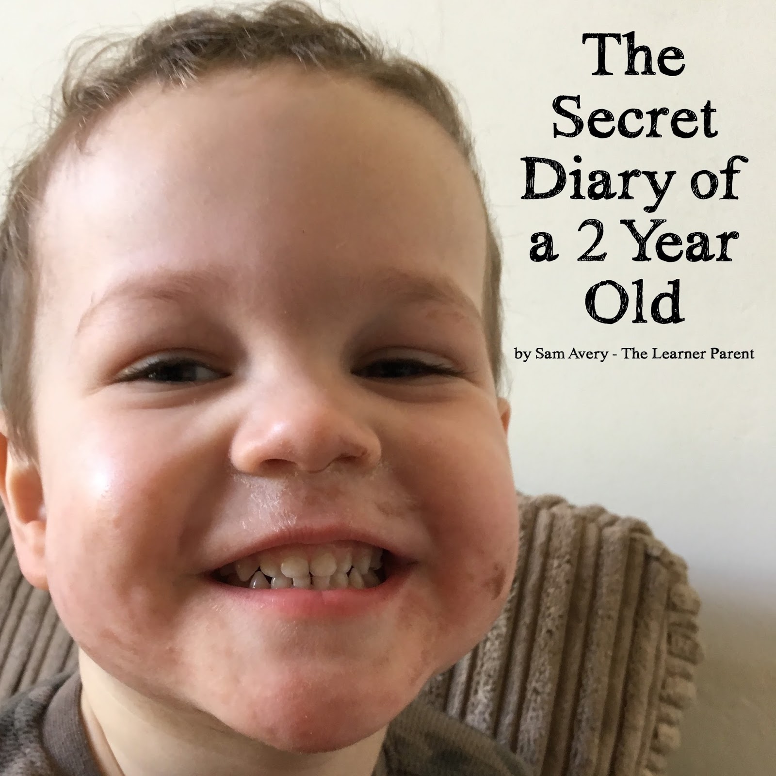The Secret Diary Of A 2 Year Old