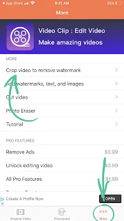 Video-Eraser-Watermark