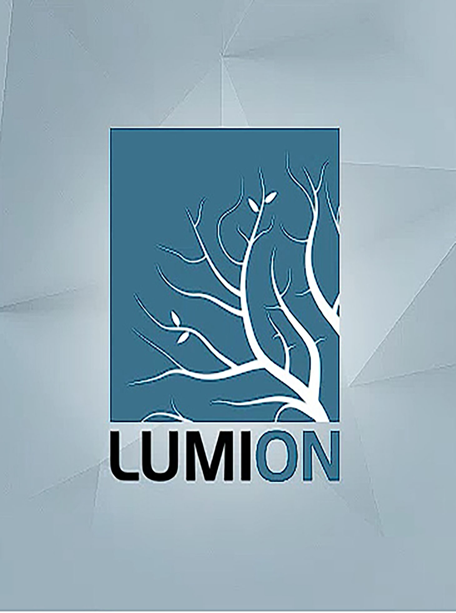 how to remove lumion logo how to remove lumion logo