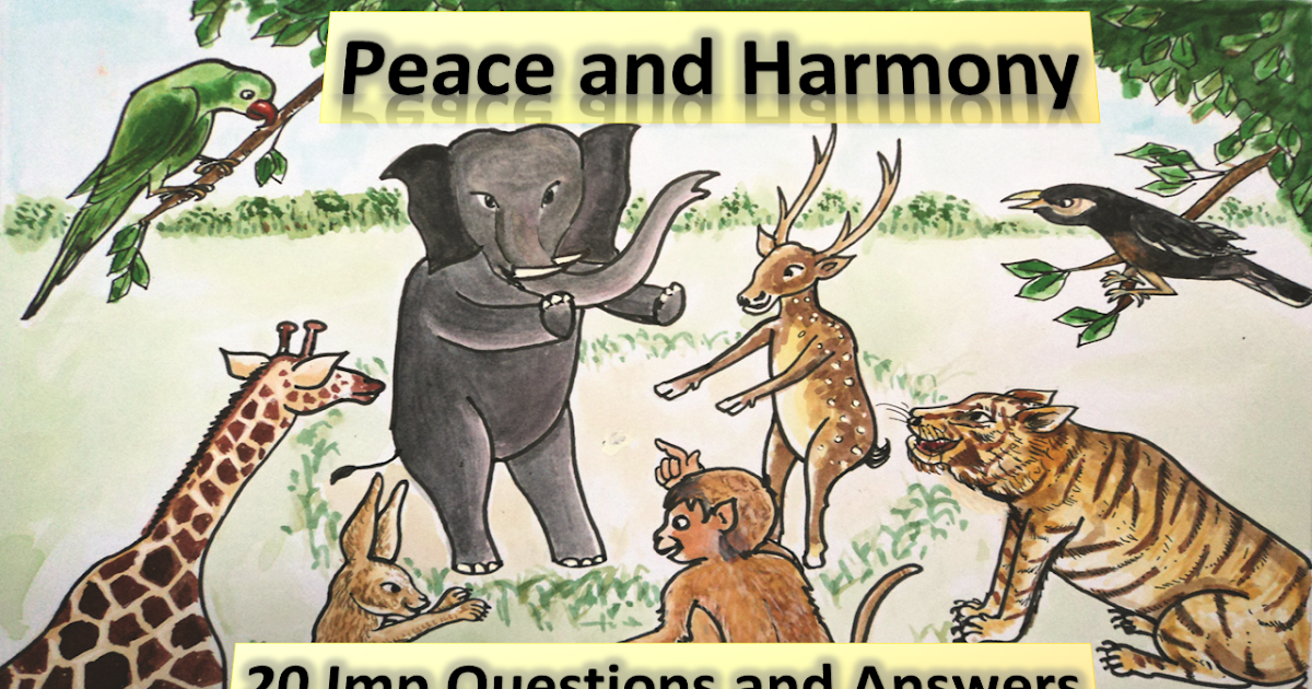 Peace and Harmony questions and answers for better comprehension