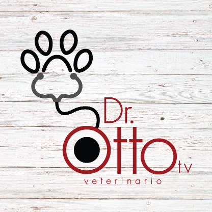 Dr Otto Alvarado    @DrOttoTv